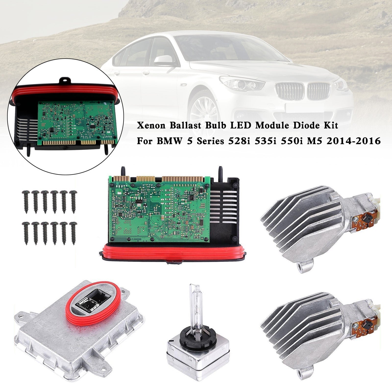 2014-2016 BMW 528i Xenon-voorschakellamp LED-modulediodeset 63117355073