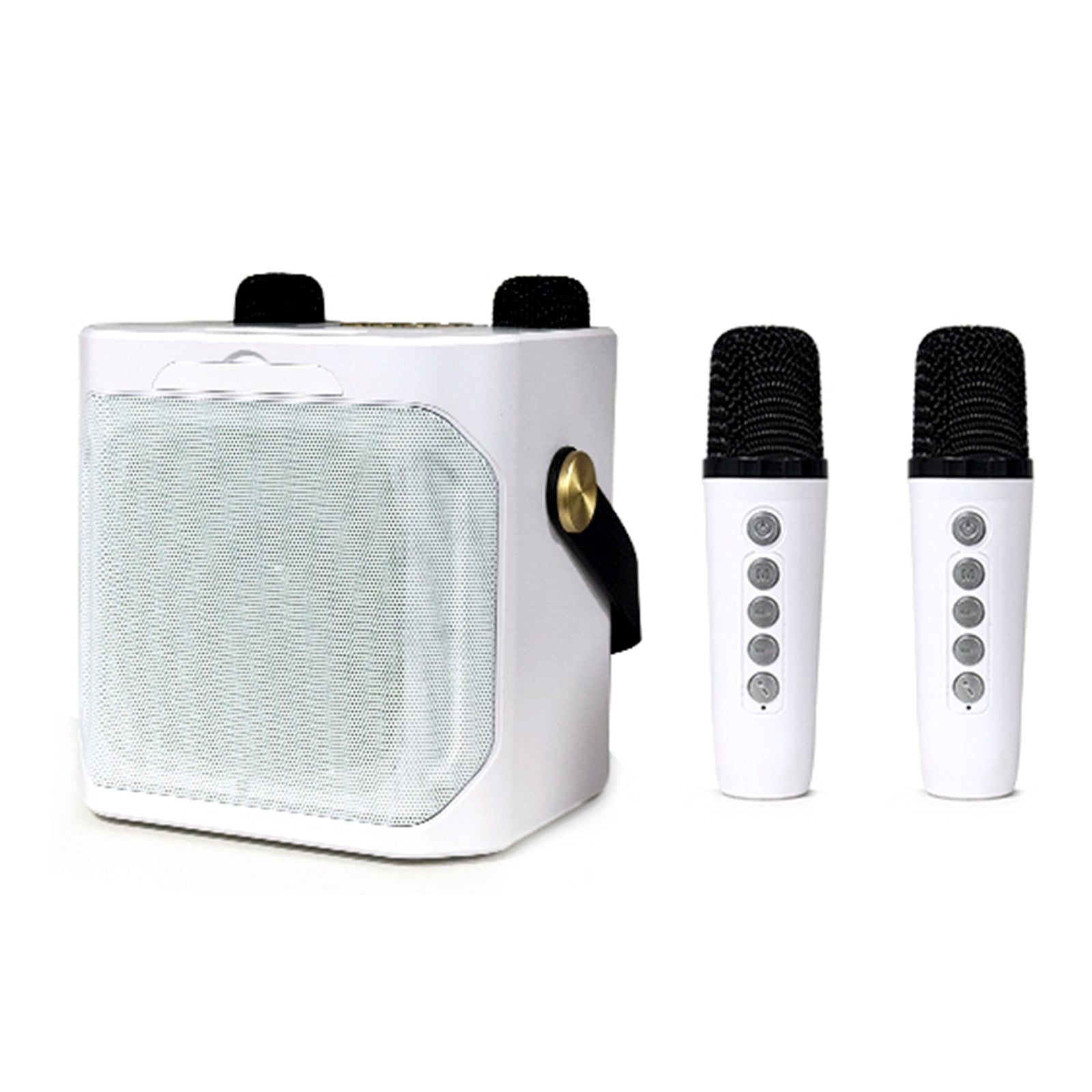 Wireless Bluetooth Speaker Dual Microphone Karaoke Home Portable Karaoke Speaker