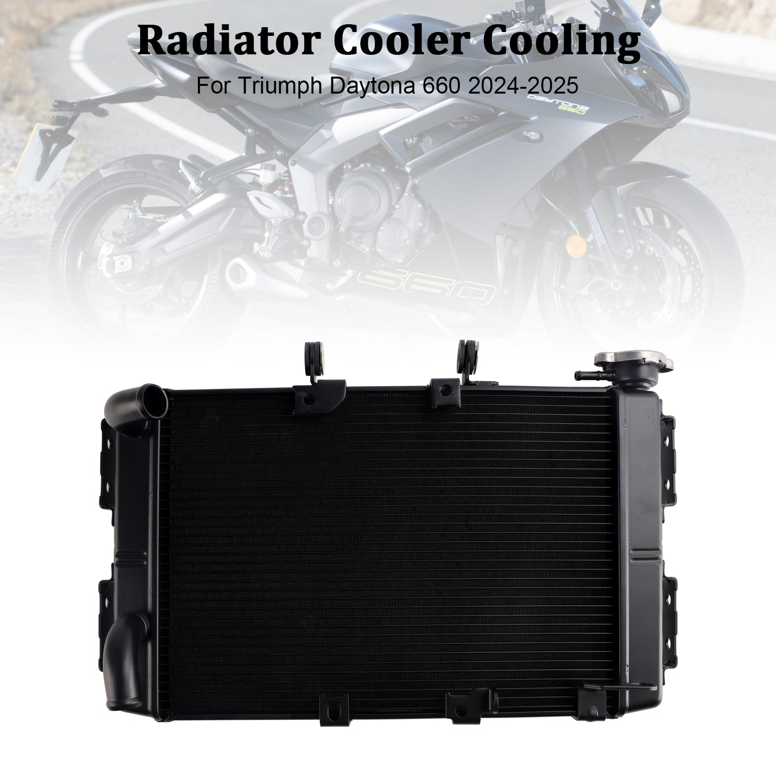 2024-2025 Daytona 660 Radiator Motor Cooler