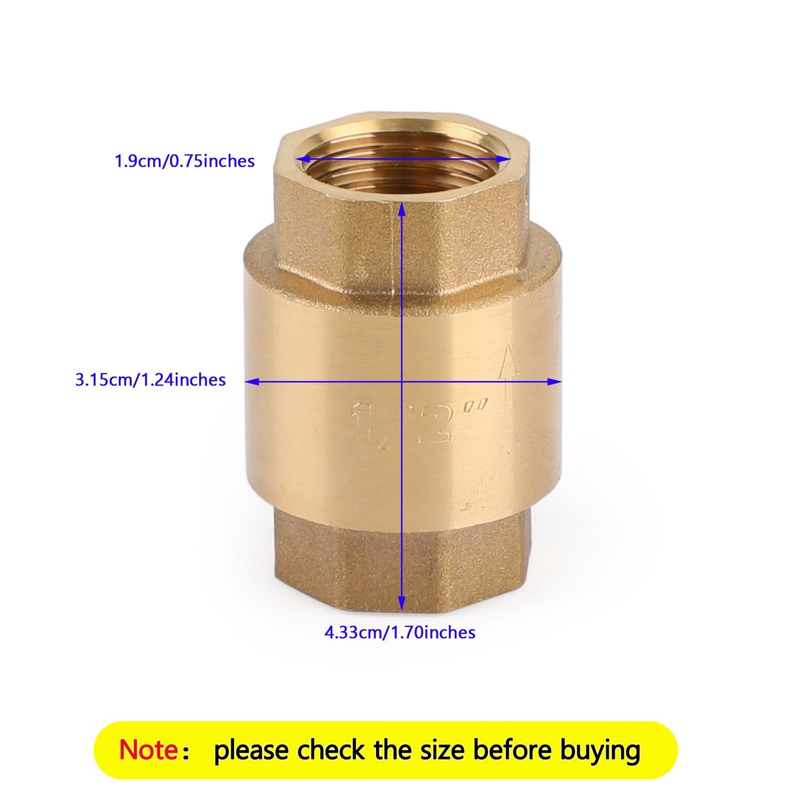 Clapet anti-retour en ligne DN15/DN20 NPT, en laiton, à ressort, en ligne, 200PSI