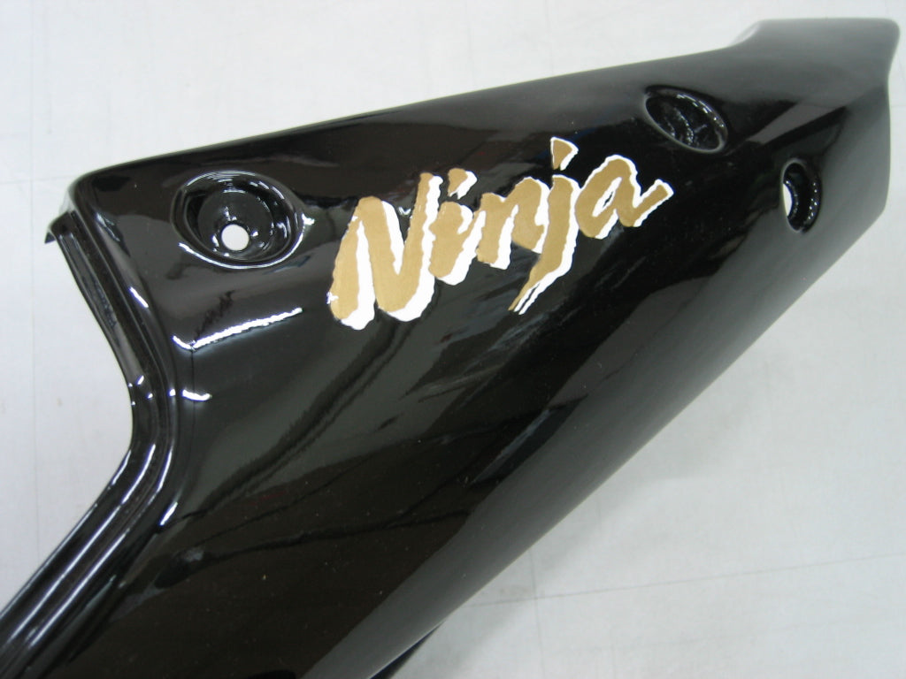 fairing-zx12r-0204